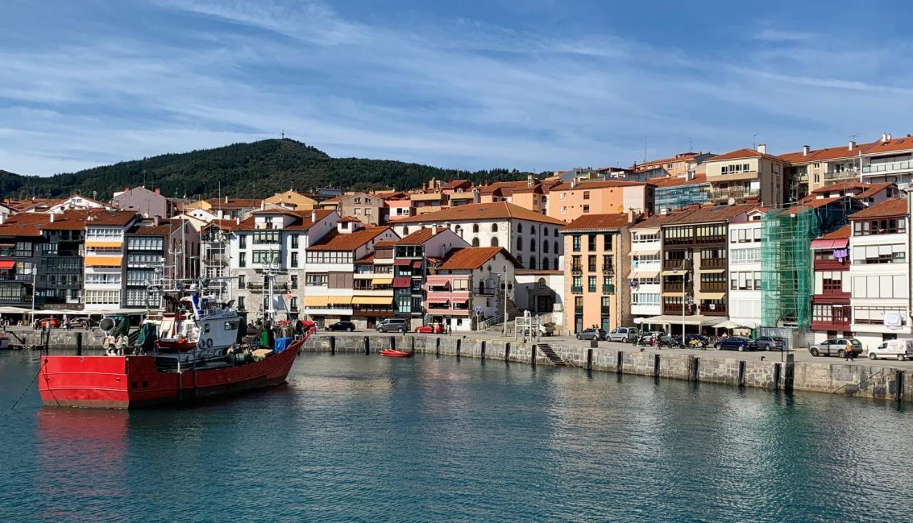 Urrondo Διαμέρισμα Lekeitio Εξωτερικό φωτογραφία